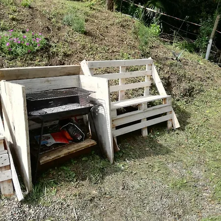 Nella Natura Nel Belvedere Di *