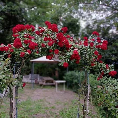 Apartment Nella Natura Nel Belvedere Di Ghiffa