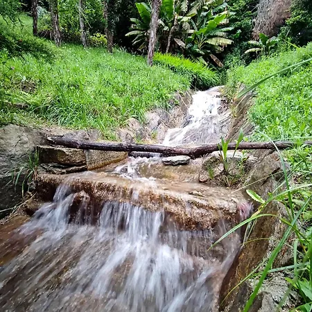 Nella Natura Nel Belvedere Di * Ghiffa